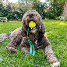 Load image into Gallery viewer, Tug &#39;N Toss Dog Toy
