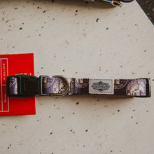 Load image into Gallery viewer, Boulevard dog collar laying
