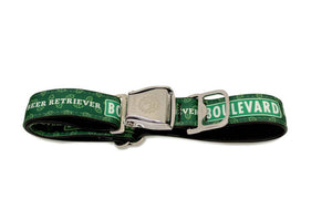 Boulevard dog collar buckle detail on white background
